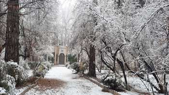 زمستان 1404 موزه