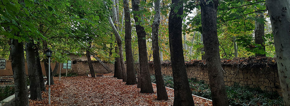 نمای حیاط موزه 