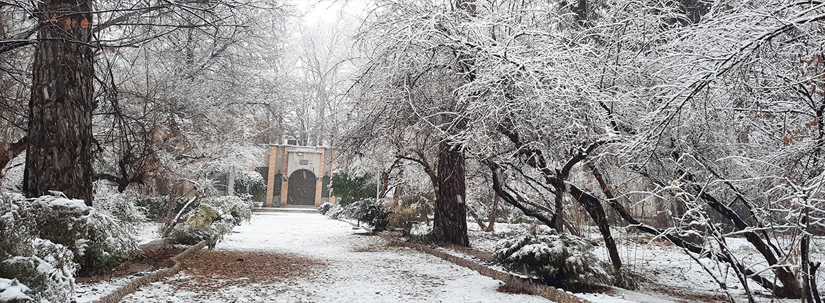 اسلاید 3  زمستان 