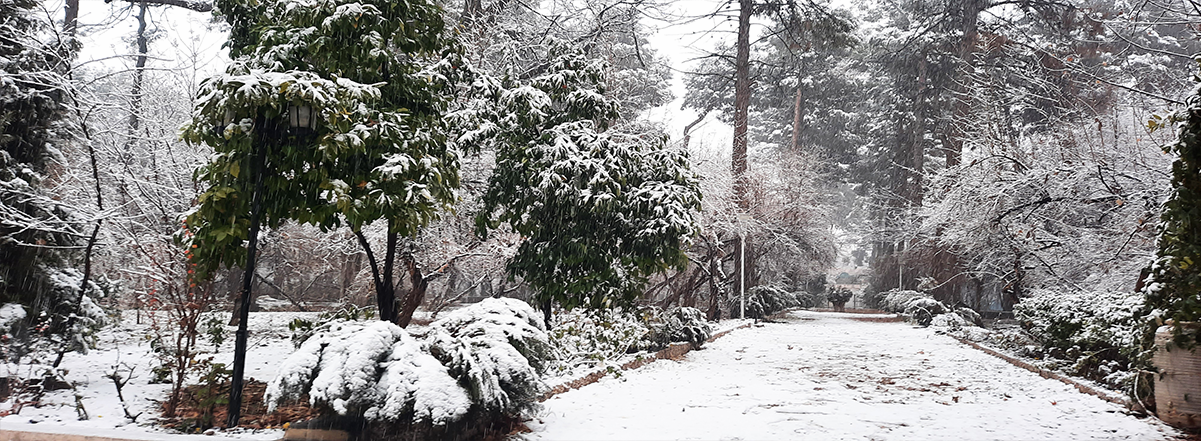 زمستان موزه 1